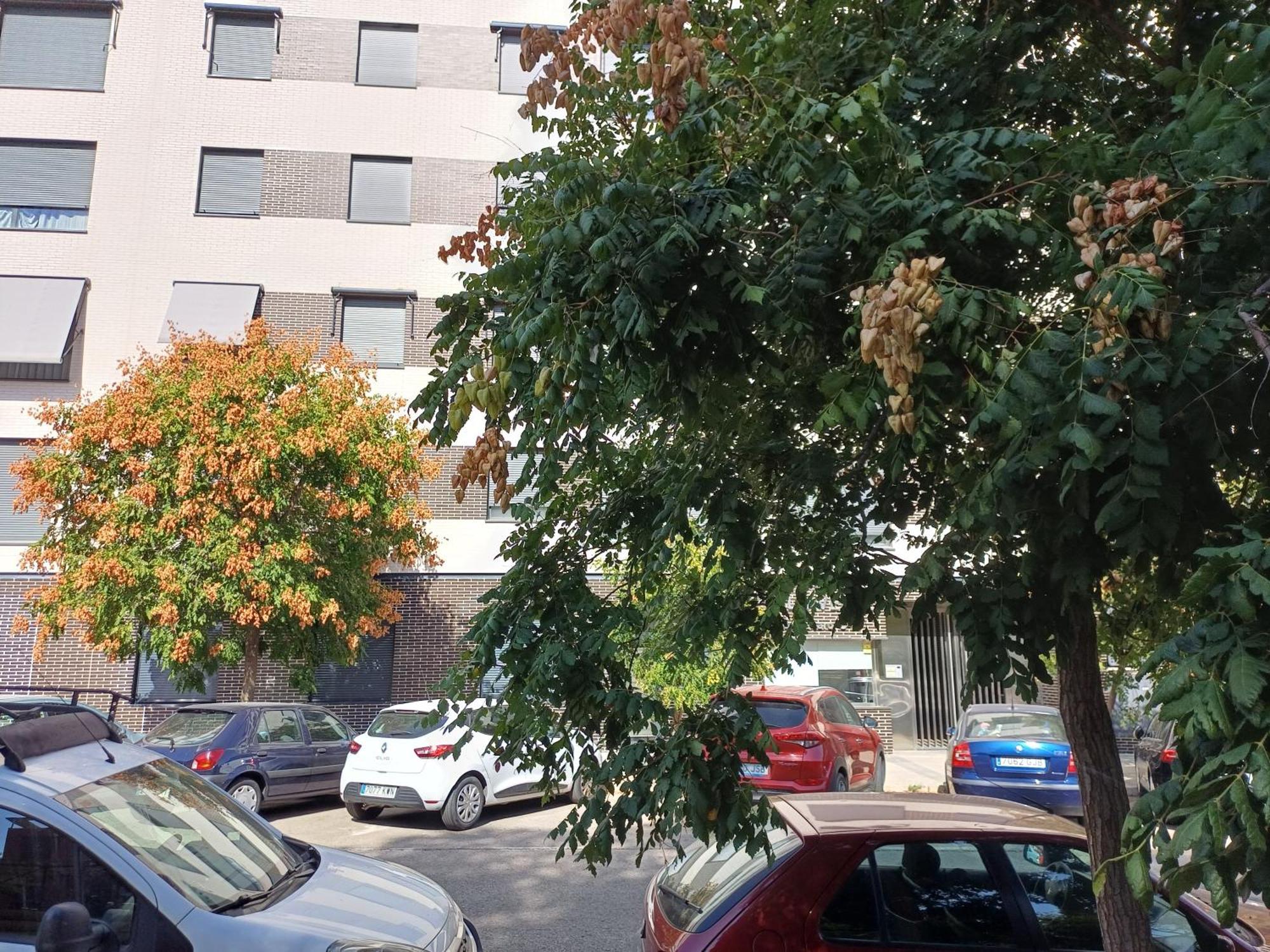 Estudios Nuevos Madrid Centro 외부 사진